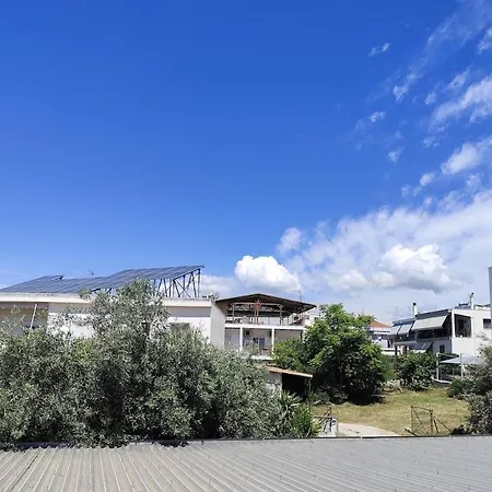 Bright & Spacious With Pelion View - 5' From Center Apartamento
